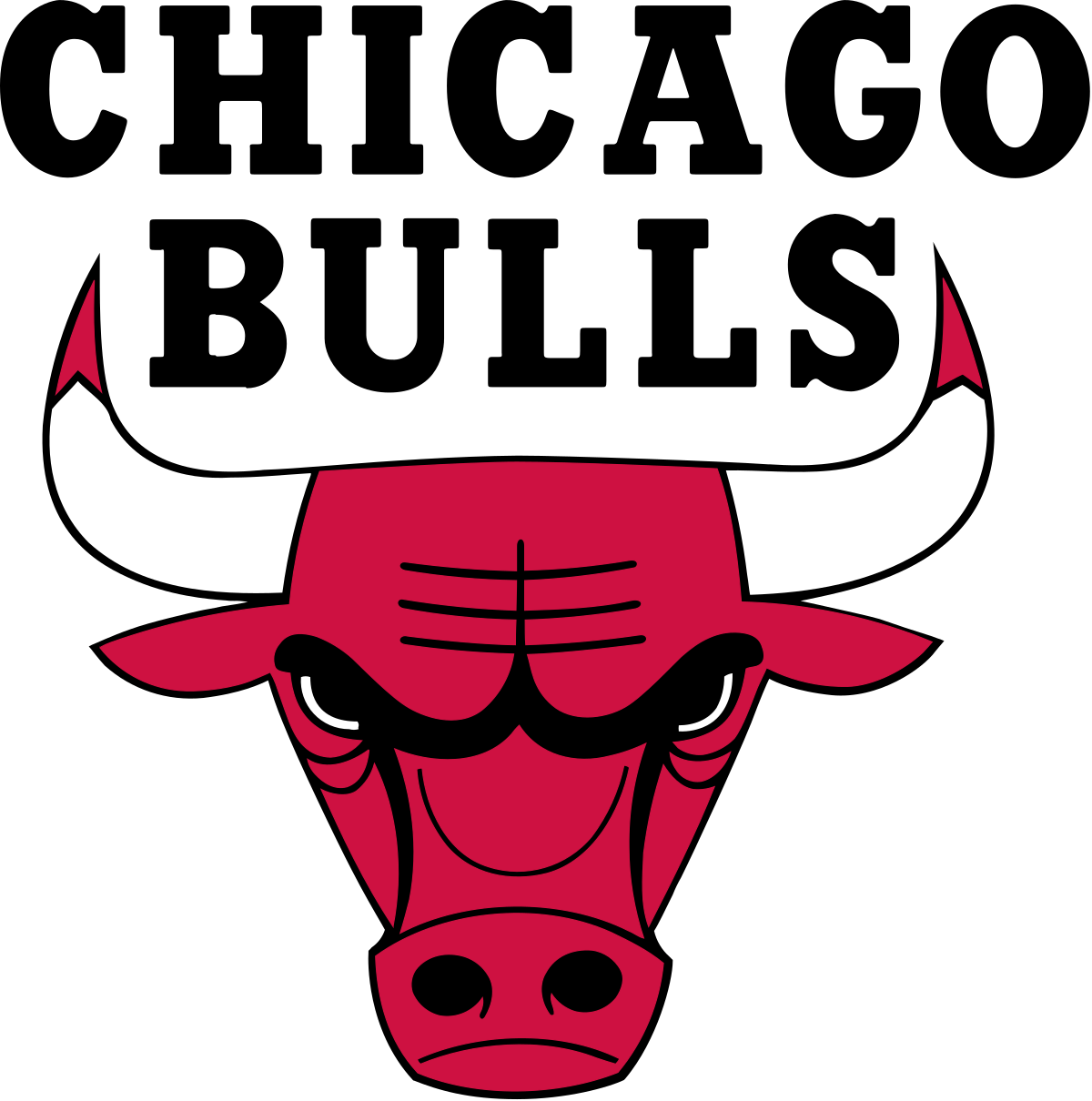 bulls.png