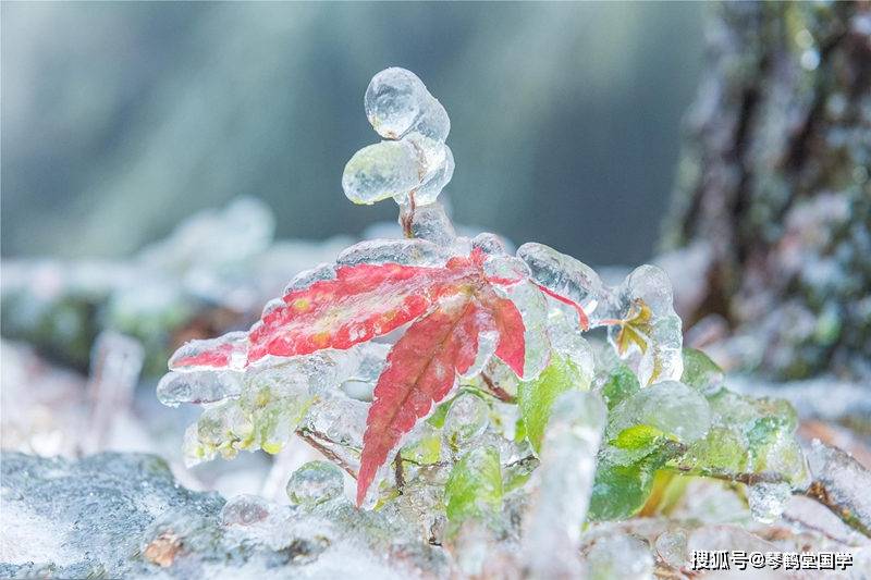 八字格局详解：夏草逢霜格、冬逢热火格